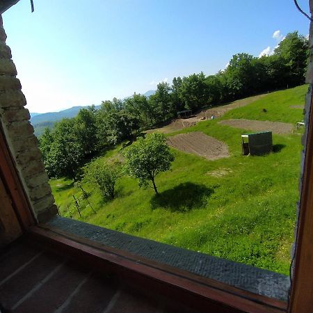 Agriturismo Paneolio Villa Collemandina Dış mekan fotoğraf