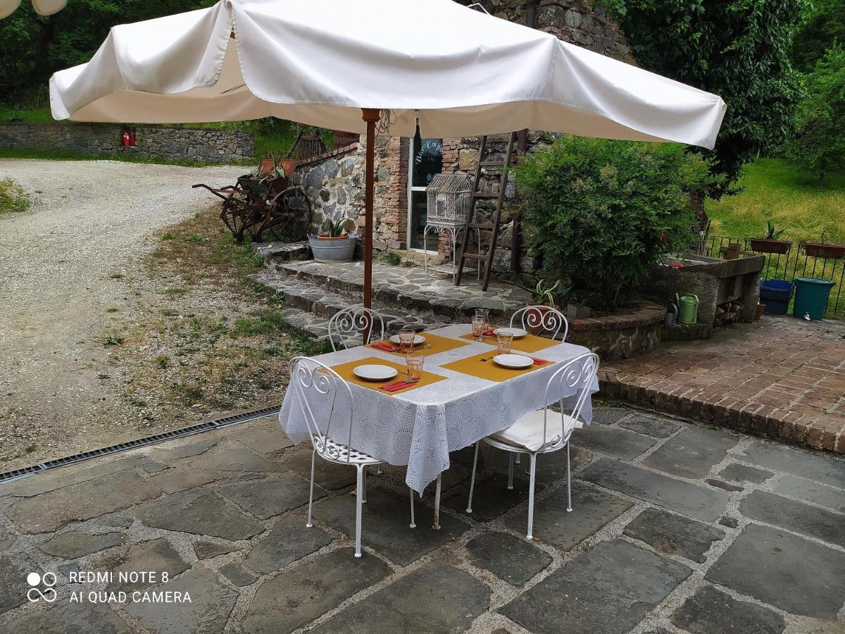 Agriturismo Paneolio Villa Collemandina Dış mekan fotoğraf